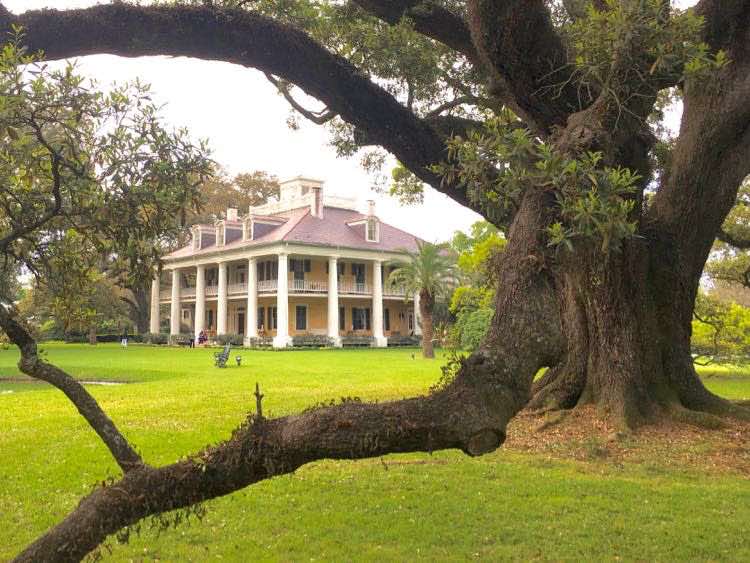 magnificent oak trees at Houmas House Plantation Louisiana