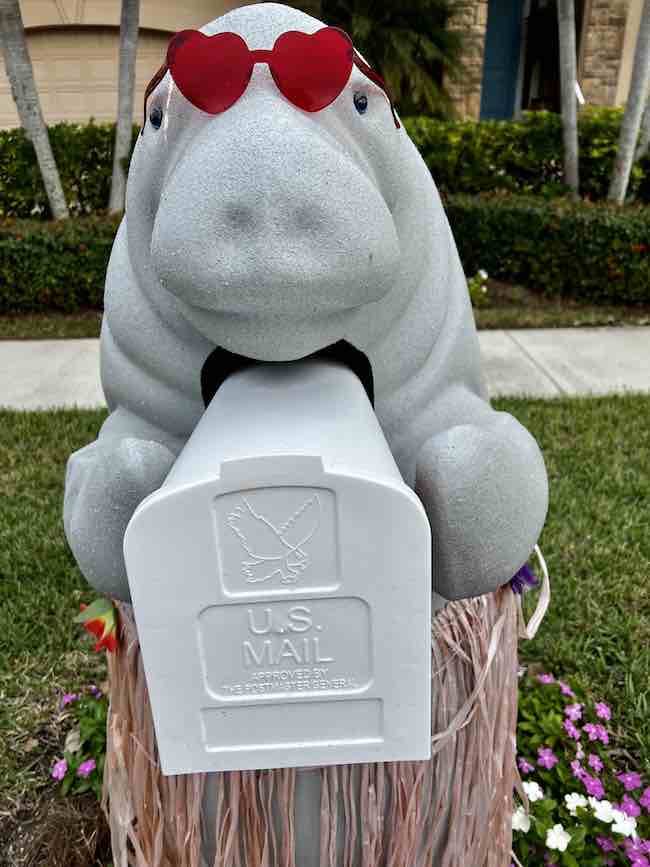 decorated manatee mailbox in Marco Island FL