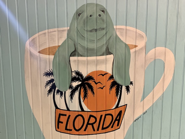 wall mural of manatee in a coffee cup